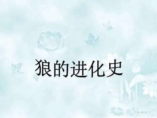 狼的进化史
