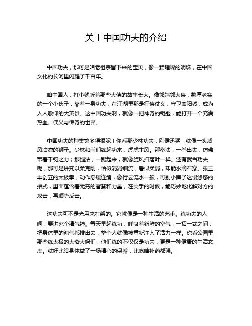 关于中国功夫的介绍