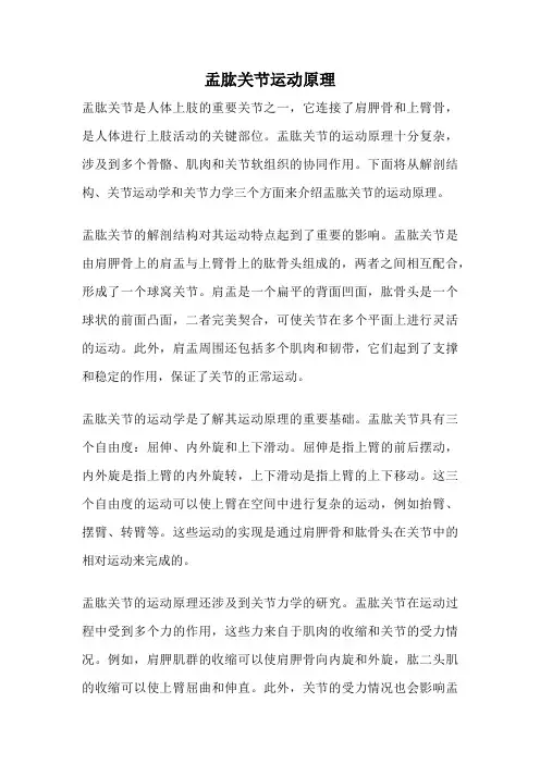 盂肱关节运动原理