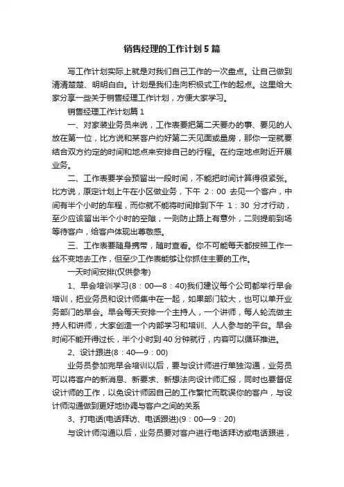 销售经理的工作计划5篇