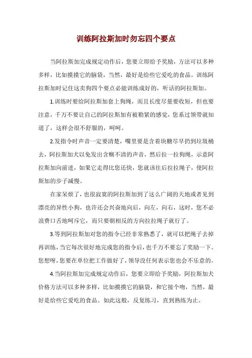 训练阿拉斯加时勿忘四个要点