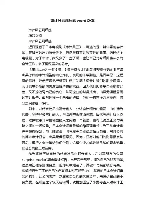 审计风云观后感word版本