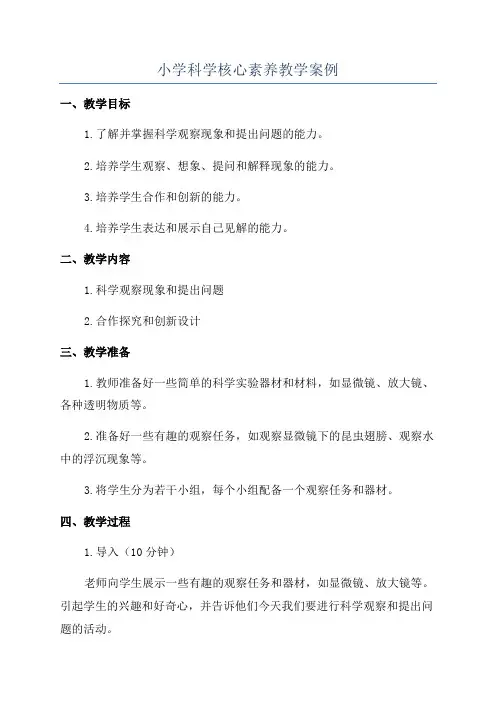 小学科学核心素养教学案例