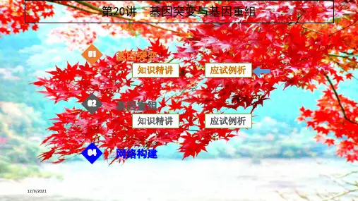 高考生物一轮复习第20讲基因突变与基因重组课件高三全册生物课件