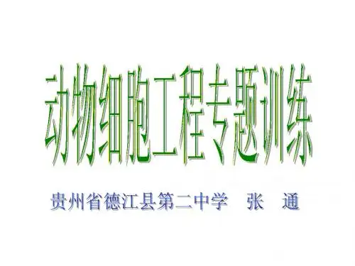 动物细胞工程专题训练(易错练习题)