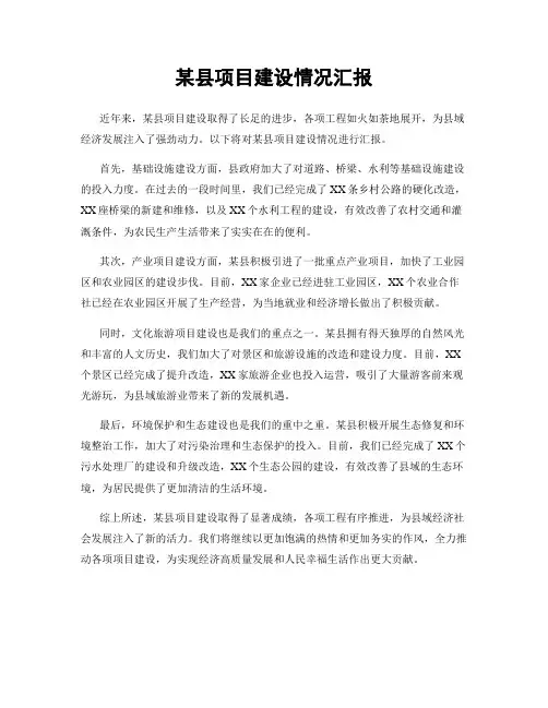 某县项目建设情况汇报