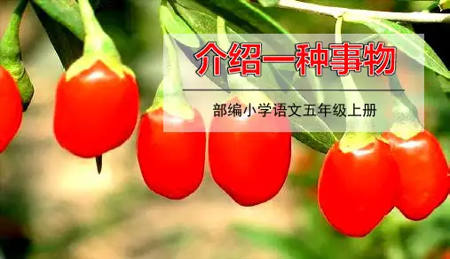 统编版语文五年级上册习作五课件(17张)
