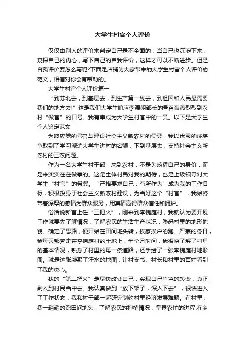 大学生村官个人评价