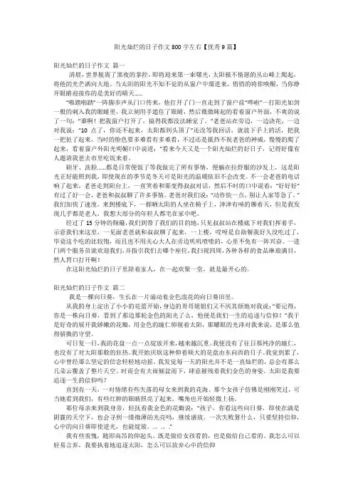 阳光灿烂的日子作文800字左右【优秀9篇】