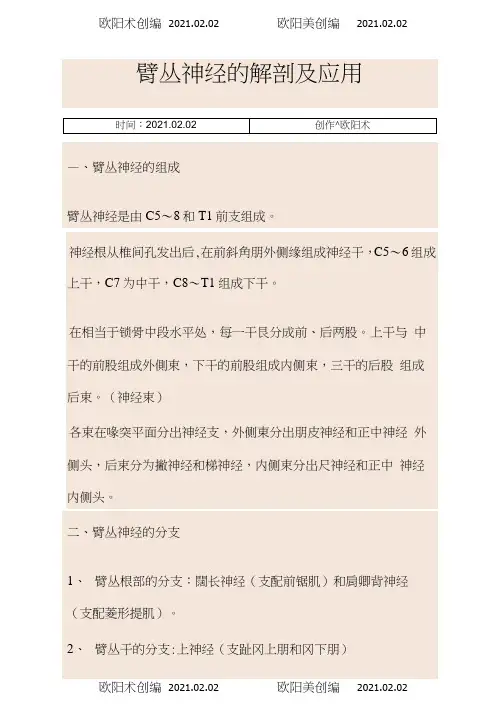 臂丛神经解剖之欧阳术创编