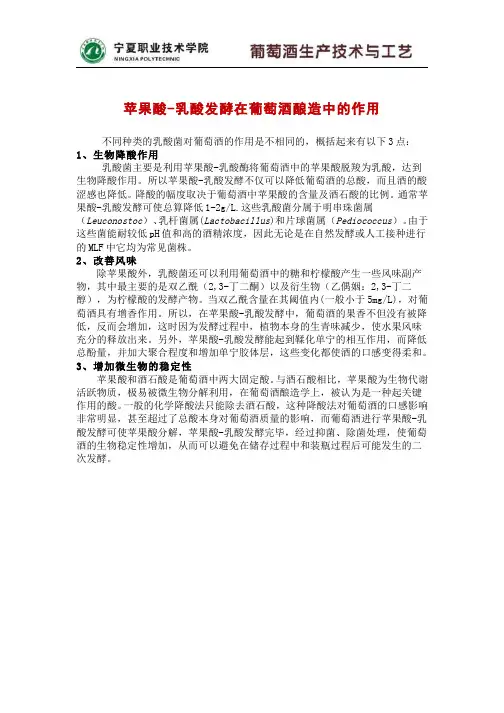423-名词术语-苹果酸-乳酸发酵在葡萄酒酿造中的作用