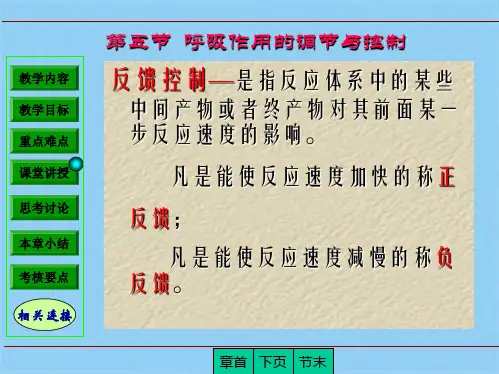 呼吸作用的调节与控制(共3张PPT)