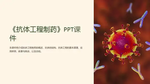 《抗体工程制药》课件