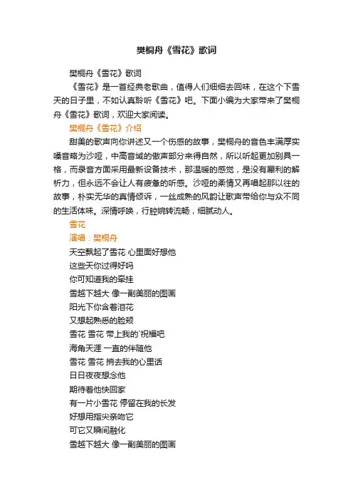 樊桐舟《雪花》歌词