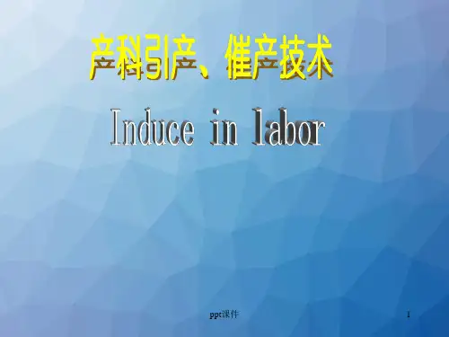 催产引产  ppt课件