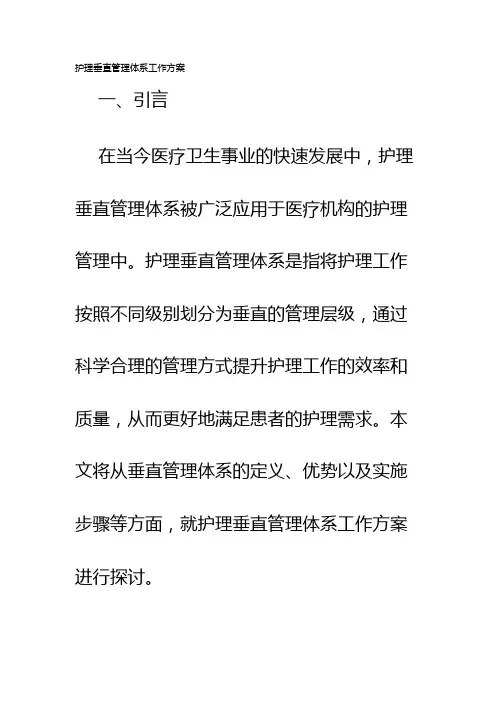 护理垂直管理体系工作方案