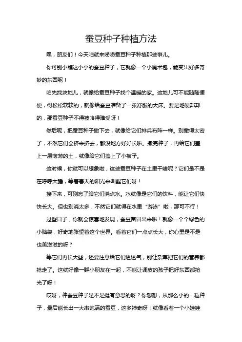 蚕豆种子种植方法