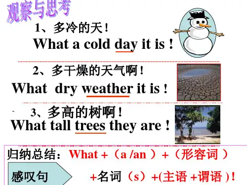 感叹句课件