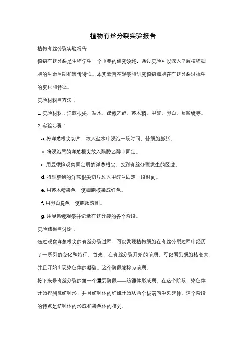 植物有丝分裂实验报告
