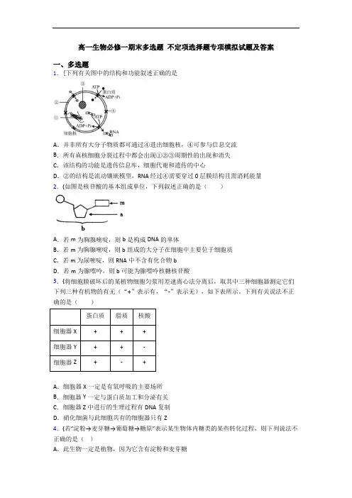 高一生物必修一期末多选题 不定项选择题专项模拟试题及答案
