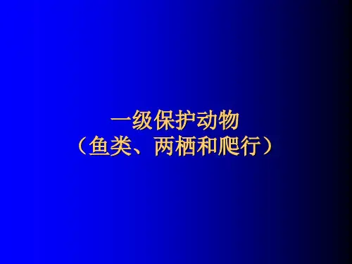 重点保护动物