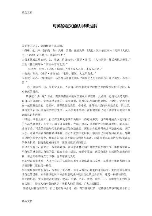 对美的定义的认识和理解教学提纲