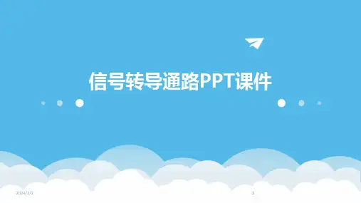 2024版年度信号转导通路PPT课件