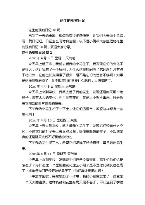 花生的观察日记10篇
