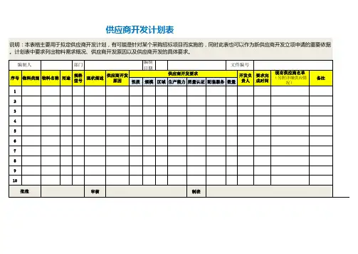 供应商开发计划表