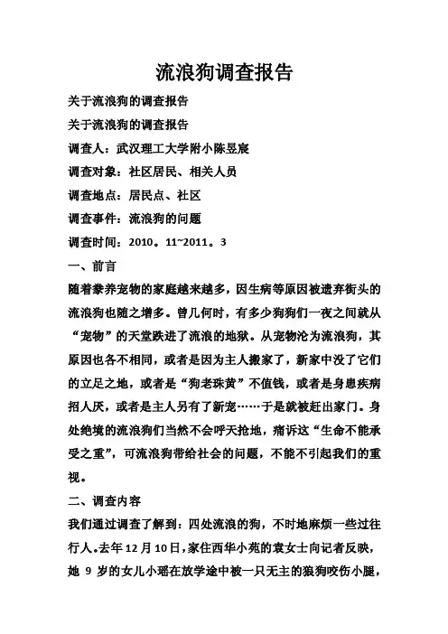 流浪狗调查报告