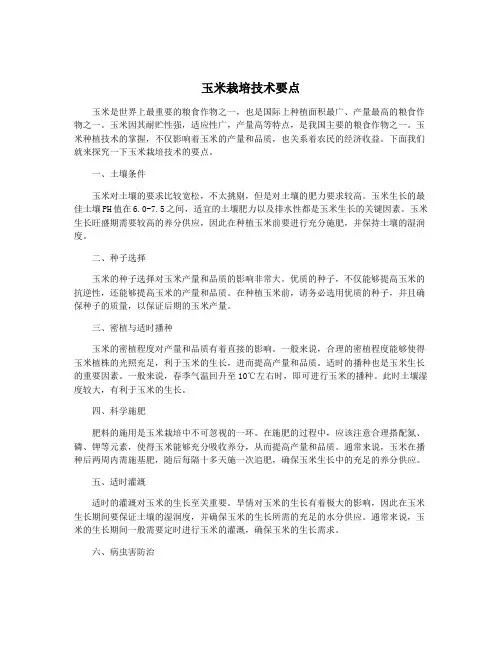 玉米栽培技术要点