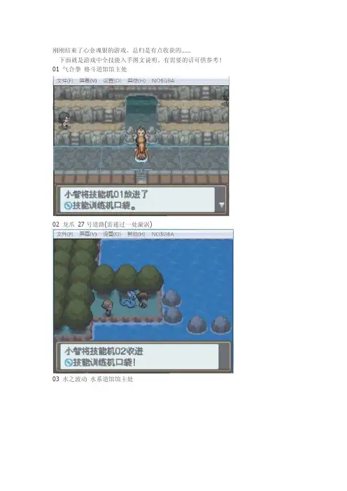 [分享]心金全技能机