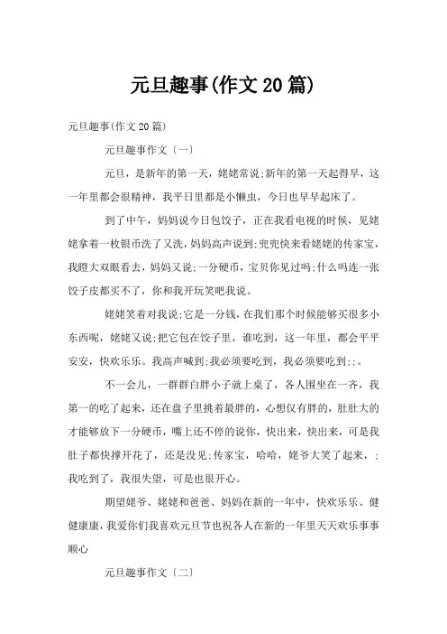 元旦趣事(作文20篇)