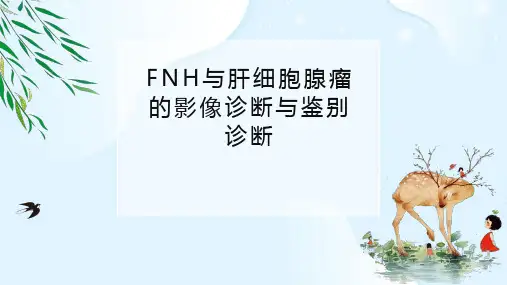 FNH与肝细胞腺瘤的影像诊断与鉴别诊断