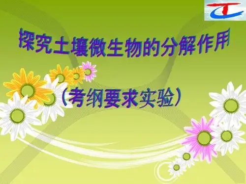 17.探究土壤微生物的分解作用