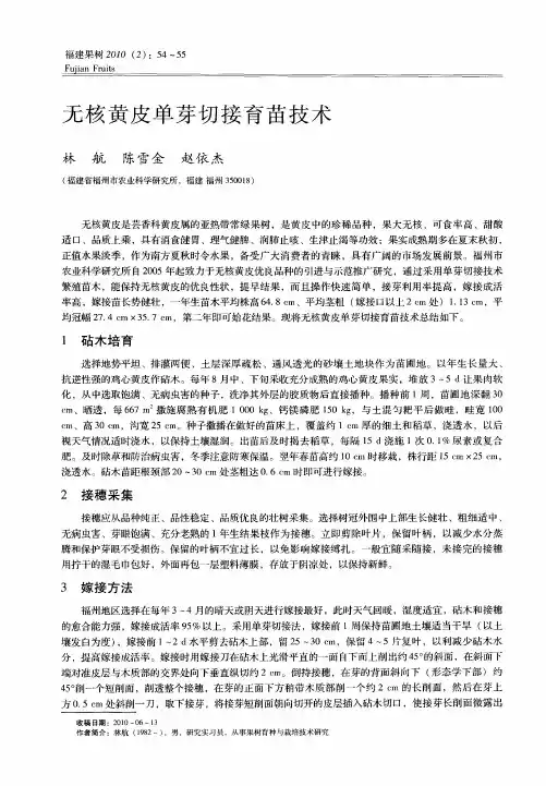 无核黄皮单芽切接育苗技术