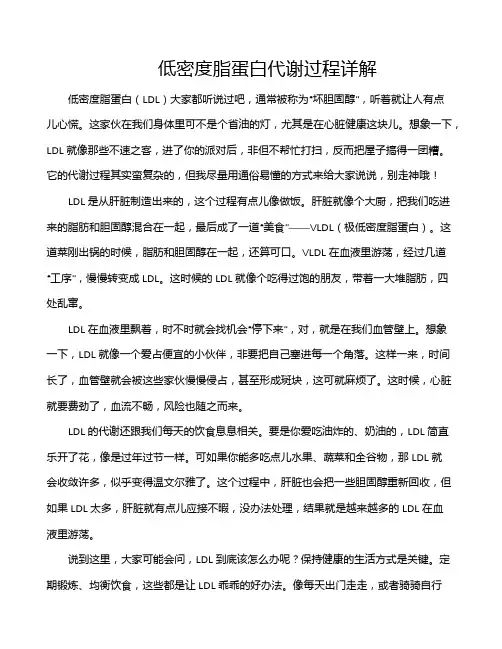 低密度脂蛋白代谢过程详解