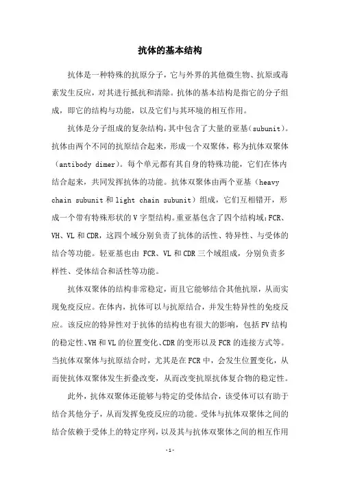 抗体的基本结构