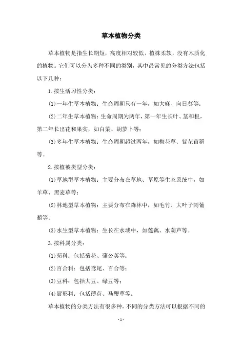 草本植物分类