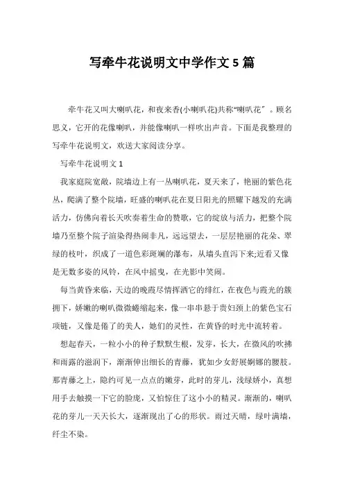 (说明文)写牵牛花说明文中学作文5篇