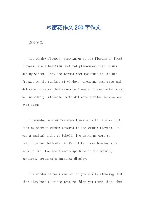 冰窗花作文200字作文