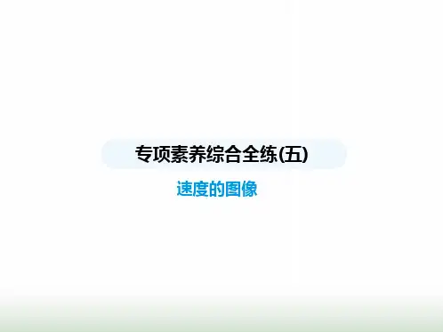 苏科版初中八年级物理上册专项素养综合练(五)速度的图像课件