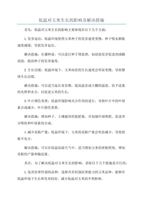 低温对玉米生长的影响及解决措施
