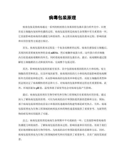 病毒包装原理