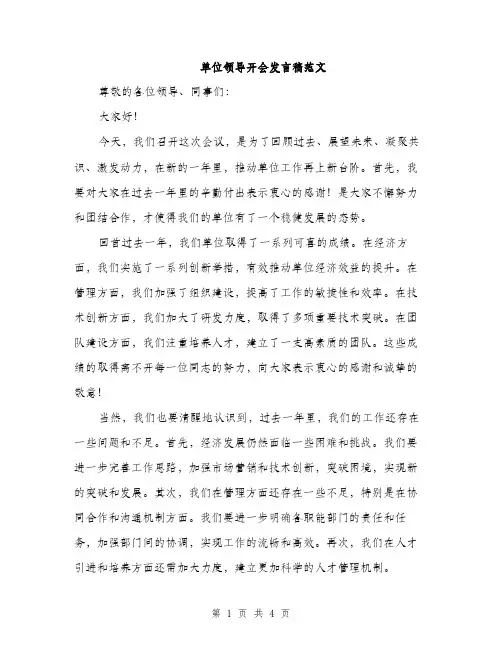 单位领导开会发言稿范文（二篇）