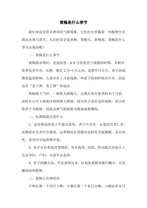 黄梅是什么季节