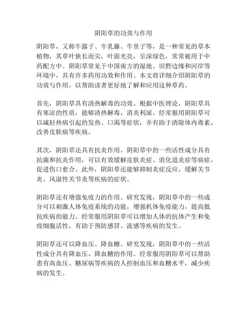 阴阳草的功效与作用