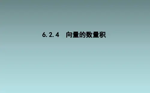 6.2.4向量的数量积 课件【共48张PPT】
