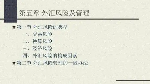 第五章 外汇风险