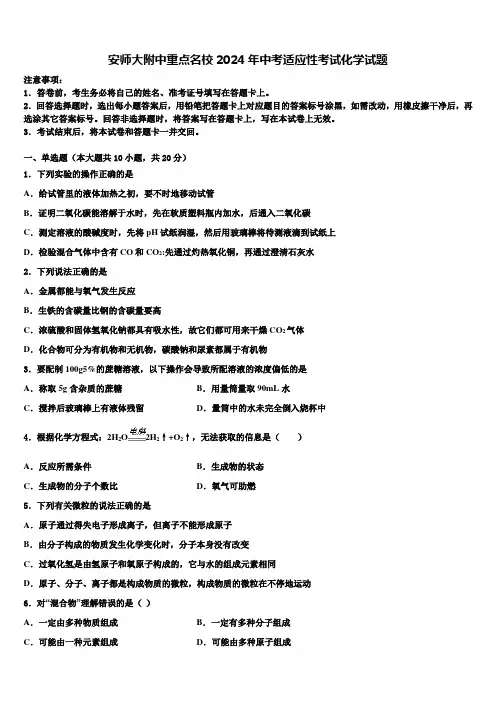 安师大附中重点名校2024年中考适应性考试化学试题含解析